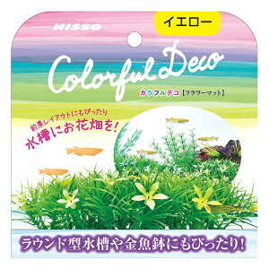 }Jjb\[@ JtfR@t[}bg@CG[@4975637205875@Ϗ܋p @CAEg@ 