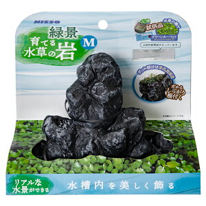 y݌ɌZ[iz ΌiEĂ鐅̊ M @NAO|366kϏ܋p CAEg l@}Jjb\[@N₩ɃCAEgłANZT[