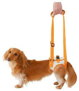 yeBI@Vp@s⏕n[lXy㑫p/Mz@ 