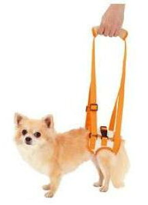 yeBI@Vp@s⏕n[lXy㑫p/Sz@ 