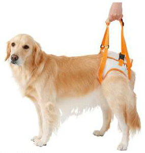 yeBI@Vp@s⏕n[lXy㑫p/3Lz@ 