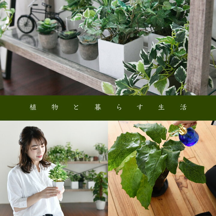 楽天市場 グリーンインテリア スタンドミラー 姿見 ガラス インテリア グリーン 観葉植物 シャビー 多肉植物 棚 ラック おしゃれ シンプル 一人暮らし 木製 古材 リセプト インテリア 楽天市場店