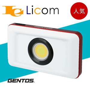 yʌzy[zWFgX GZ-306 Kc [NCg  ő1000[ ő8ԓ_ LED Cg v LhCg ^ ho h AEghA Lv h 