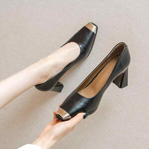 fB[X V[Y C u[c pvX T_ IV  ACe EUTCY\L p V[Y t t` XNGAgD nCq[ ʋ V[Y [NV[Y