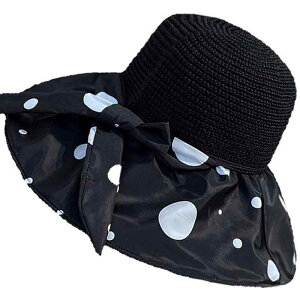 t R[f IV  ACe fB[X ΍L tFCXJo[  oPbgnbg O΍