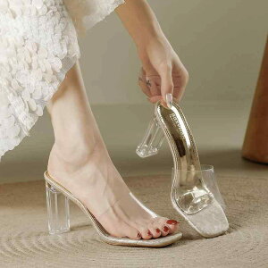 fB[X V[Y C u[c pvX T_ IV  ACe EUTCY\L  T_ p  ԊO Xbp tFA[  NX^ nCq[