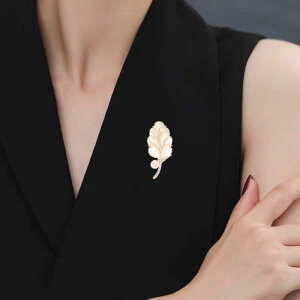 ANZT[ fB[X t@bV  iX^C R[fBl[g p[eB[ ACe F Ő t  u[` su[`