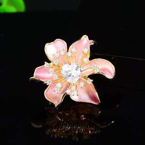 ANZT[ fB[X t@bV  iX^C R[fBl[g p[eB[ ACe t`  C obN u[` Gi RT[W