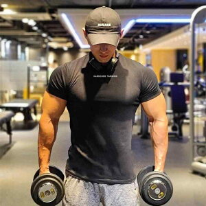 Y t@bV  jp IV Vv l  傫TCY Xg[g am  ؃g g[jO EFA tBbglX   T Vcc jO z 