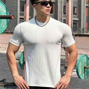 Y t@bV  jp IV Vv l  傫TCY Xg[g am X|[c g[jO EFA   ʋC tBbglX[jO jO  