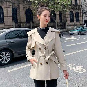 t R[f fB[X t@bV IV JCC Vv ꂢ i` iJWA wl Xgbv nCGh EChu[J[ X~O ~fBA O R