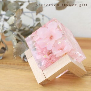 NX^n[oE  ̓ 2024 NX^ n[oE t vU[uht[ a o[Xf[ LO j   TN sakura [Y o Mtg t[Mtg 