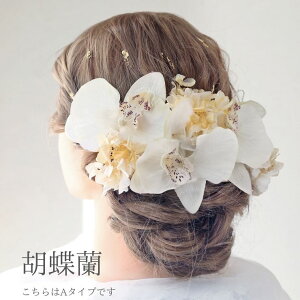 Ӓ  l  gR R  } wAANZT[ [v a lOB OB U  a a Ǝ  ԉ EFfBO uC_   hX wbhp[