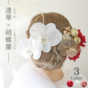 ؂ƌӒ̔  Ӓ  l  gR R  wAANZT[ [v a lOB OB U  a a Ǝ  ԉ EFfBO uC_  