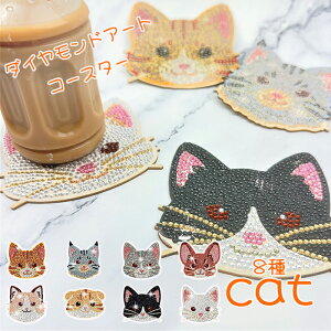 S _ChA[g R[X^[ lR@cat  ~ fR  Xg[ r[Y L jR ȒP DIY