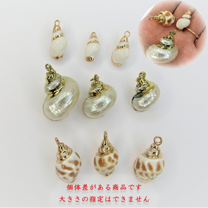楽天市場】可愛い巻貝パーツ 貝殻 シェル チャーム アクセサリー 
