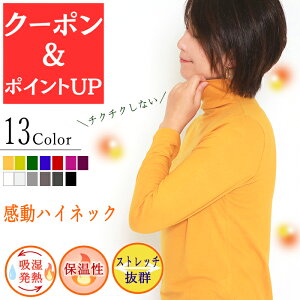 {ő10offN[|X|Cg5{ nClbN fB[X  g ~ H Ci[ ^[glbN  Mf q[g N q    d˒ St X|[c 