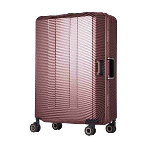 LEGEND WALKER WFhEH[J[ X[cP[X fB[X Y jp n[hP[X t[ ubN x[W lCr[ sN J[{ 75L 6703N-64