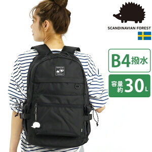 �X�J���W�i�r�A���t�H���X�g �����b�N�T�b�N SCANDINAVIAN FOREST ��e�� 30L ���� A4 B4 ���@�\�����b�N PC�|�P�b�g �^�u���b�g �����b�N �o�b�N�p�b�N ���΂� ���� ���f�B�[�X �}�}�o�b�O �ʊw �ʋ�