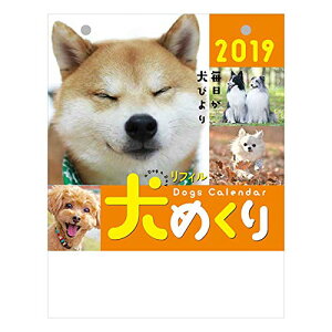 19 カレンダー 犬の人気商品 通販 価格比較 価格 Com