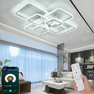 LED �V�[�����O���C�g 6~20�� ������� �k�� �Ɩ����y�ߓd�E�ڂɗD����������z���i�K�������F APP���u����/�����R�� �V�� ���͋C�i�C�g���C�g �d�C ��铔 �ԐڏƖ� (90*90cm�����`�A�z���c
