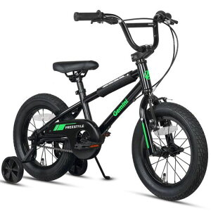 AVASTA(�A�o�X�^)Gemini�q���pBMX���]��(��:2.4�C���`)�����������X���L�b�Y�o�C�N 4��5��6��7�� �c�����w����w�N���w�N �j�̎q���̎q ���ǂ������K �L�b�N�X�^���h ���O���\�⏕�� �c