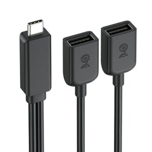 Cable Matters USB-C�I�X USB-A���X2�|�[�g����P�[�u�� 30cm 1����2�o��