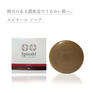 Spinahl Xsi[ eΌ 90g Ă΍ V~  ϕi lC YȔ ₩ 邨 GCWOPA