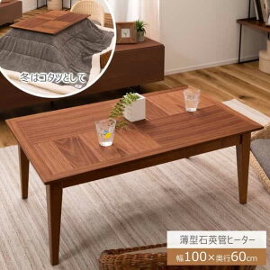 J KT-117BR R^c `  e[u k ` 100 100×60cm VR Ήpǃq[^[ ^q[^[ 300W ԃXCb` q[^[1Nۏ