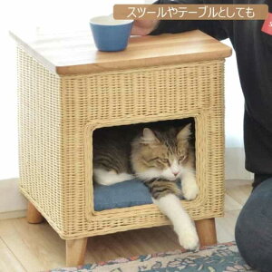 J Xc[ ybg ybgnEX ybgXc[  L ^  | ֎q `FA  CX Vv k i` I PET-63