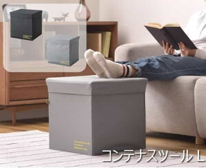 東谷 収納 スツール おしゃれ ボックス ふた付き 折りたたみ オットマン キッズ コンテナスツールL メーカー直送