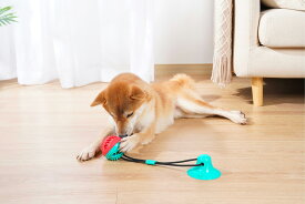 【送料無料キャンペーン中】犬おもちゃ ペットおもちゃ 吸盤式 犬遊び用 ボール 知育玩具 訓練玩具 天然ゴム ロープ付き 知育玩具 餌入れ 犬臼歯噛み磨き ラバ歯固め 耐久性ある『365日・12時まで確定で当日出荷』