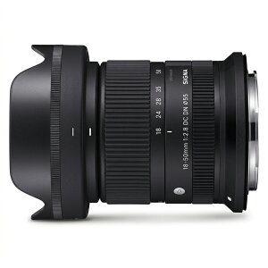 �y�����ۏؑΉ�/RSL����/���������z�V�O�} SIGMA 18-50mm F2.8 DC DN Contemporary �L���m�� RF �}�E���g�p �L���m�� Canon �W���Y�[�������Y �~���[���X ���������Y ���掿 �y�� �R���p�N�g ����a EOS R7 R10
