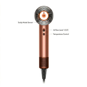 �_�C�\�� Dyson Supersonic Nural Shine �w�A�h���C���[ HD16 AS �V�����p�����[ �X�J���v���[�h ���� �������K�i �h���C���[ �u5025155120507�v