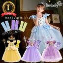 【優良ショップ受賞　楽天ランキング第1位6冠達成！】CCBL 半袖 紫 黄色 水色 プリンセス ドレス キッズ 子ども用 コ…