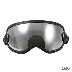 �y���������zEX-ZERO ��p�݌vGOGGLE/�V���o�[�~���[