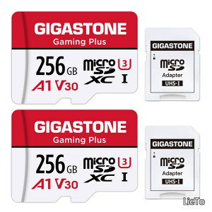 �y���������z1 �Ή��z GIGASTONE �}�C�N��sd�J�[�h 256GB 2�Z�b�g Gaming Plus microSDXC UHS-I A1 V30 U1 C10 4K UHD���� 100MB/s ���� SD�A�_�v�^�[2���t���y5�N�ۏ؁z