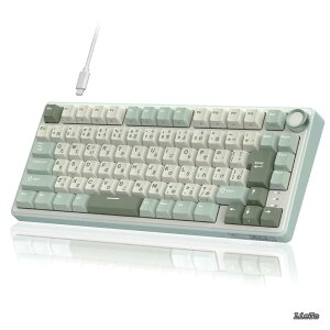�y���������zROYAL KLUDGE R75 ���J�j�J���L�[�{�[�h �L���b���{��z��b�{�����[���m�u���ځb�Q�[�~���O�L�[�{�[�h 75%�J�X�^���b�K�X�P�b�g�}�E���g�\��?RGB�o�b�N���C�g?�\�t�g�E�F�A�Ή��bC