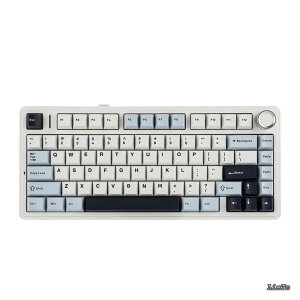 �y���������zx Aula F75 �Q�[�~���O�L�[�{�[�h �K�X�P�b�g ���J�j�J���L�[�{�[�h 5�w�p�b�h���m�u�t�� 75% ���C�����X �z�b�g�X���b�p�u�� Bluetooth/2.4GHz/USB-C RGB �Z�K�F�؎擾 (Light Blue LEOBOG Reaper 