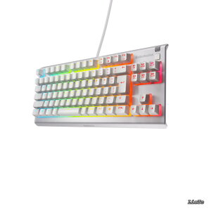 �y���������z�Q�[�~���O�L�[�{�[�h �e���L�[���X �L�� Apex 3 TKL White JP ���{��z�� �É��X�C�b�` IP32�h�H 24�L�[���������Ή� �z���C�g 64909