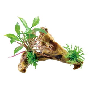 y12ZbgzWFbNXit؃j[h