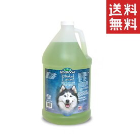 【!!クーポン配布中!!】 アイピー通商 バイオグルーム ハーバルグルームシャンプー 3.8L ペット 犬 猫 低刺激 大容量 業務用