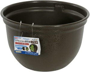 WFbNX WFbNX_JC_Ĵ߂̎甫32032cm