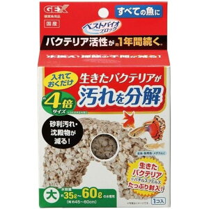 WFbNX WFbNXxXgoCIubN