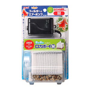 y6ZbgzWFbNX WFbNXȎZbgM