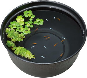 y3ZbgzWFbNX_JC_Ĵ߂̎甫42042cm