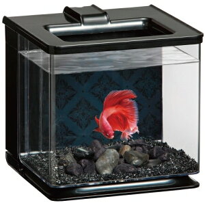 y2ZbgzWFbNXyANAubN