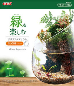 y2Zbgz WFbNX OXANAE X[v CeA KX