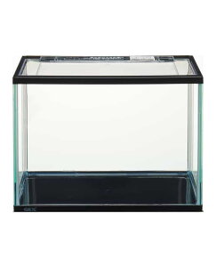 WFbNX WFbNX}[iMubNubN