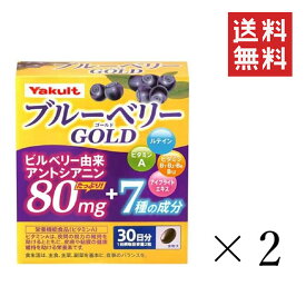 【クーポン配布中】 ヤクルトヘルスフーズ ブルーベリーゴールド(450mg×60粒)×2箱セット まとめ買い サプリ ビタミンA